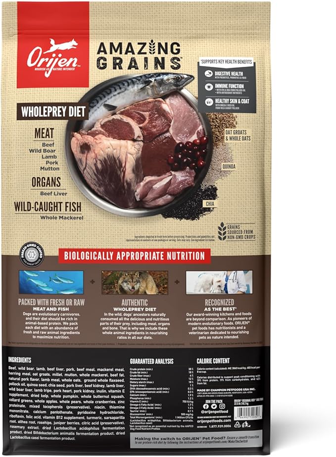 ORIJEN Amazing Grains Regional RED Dry Dog Food, High Protein Dog Food for All Life Stages, Fresh or Raw Ingredients, 22.5lb - PAWPICO