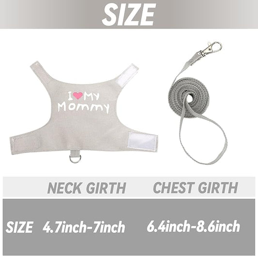 2 Pack Bearded Dragon Harness and Leash Set, Escape Proof Adjustable Lizard Reptiles Harness Cute Lizard Reptile Small Animal Harness Clothes with 5FT Leash for Walking Outdoor PETKNOWS