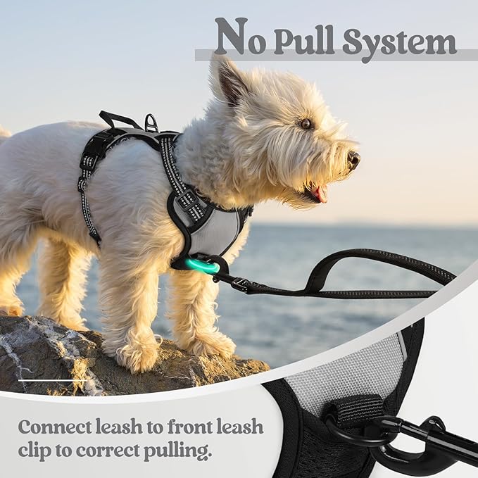 rabbitgoo Dog Harness No Pull with 2 Leash Clips, Adjustable Soft Padded, Reflective Oxford No Choke Pet Vest with Easy Control Handle for Puppy, Grey, XS rabbitgoo