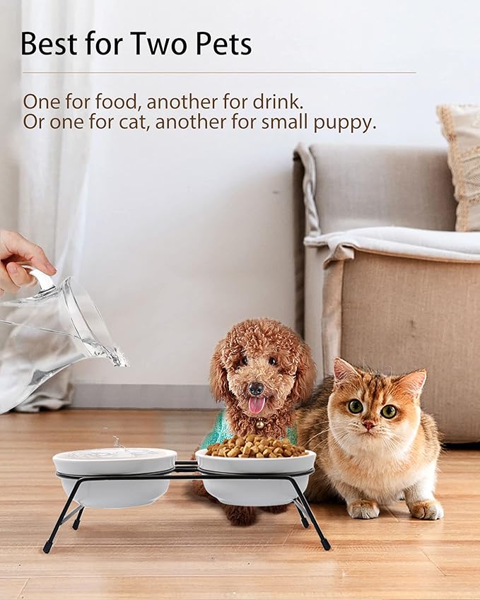 Cat Bowls, Upgraded 13 oz Ceramic Elevated Cat Food Bowls for Food and Water, Raised 2 Cat Dishes with Stainless Steel Stand Non-Slip and Anti-Rust, for Indoor Cats and Small Dog Bowl, Dishwasher Safe - PAWPICO