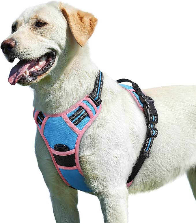 Eagloo Dog Harness for Large Dogs, No Pull Service Vest with Reflective Strips and Control Handle, Adjustable and Comfortable for Easy Walking, No Choke Harness with 2 Metal Rings, Pink & Blue, L GoExplorewithEagloo