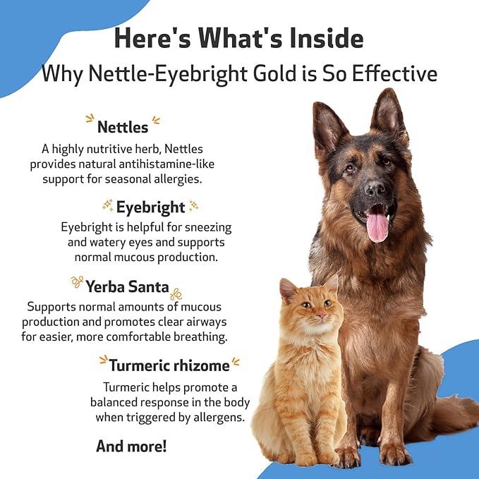 Pet Wellbeing Nettle-Eyebright Gold for Dogs & Cats - Vet-Formulated - Seasonal Sneezing, Itching, Watery Eyes - Natural Herbal Supplement 4 oz (118 ml) PetWellbeing