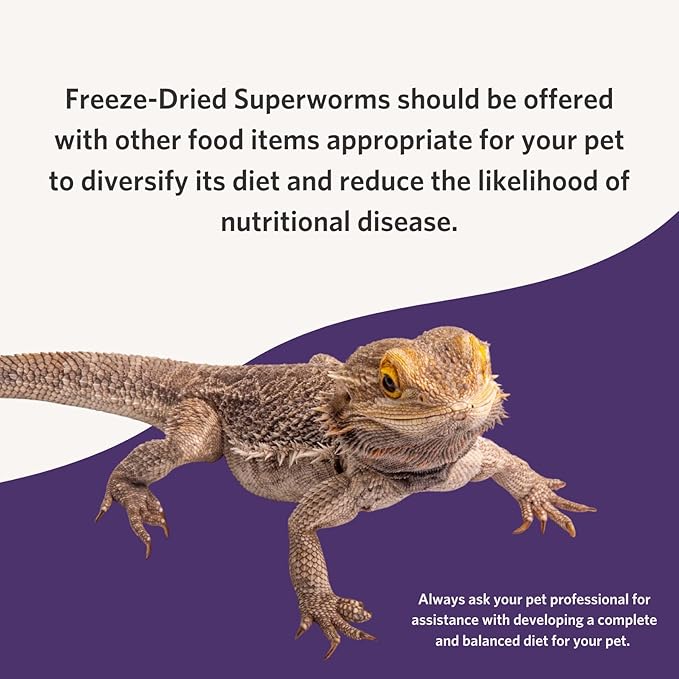 Fluker's Freeze Dried Superworms, for Reptiles, Ideal for Lizards, Reptiles, Birds, Fish, Hedgehogs, 1.7 oz Flukers