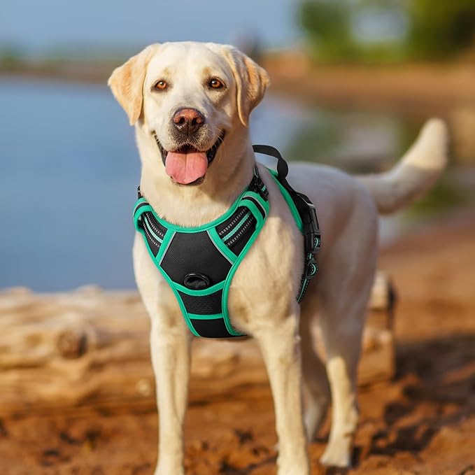 rabbitgoo Dog Harness No Pull with 2 Leash Clips, Adjustable Soft Padded, Reflective Oxford No Choke Pet Vest with Easy Control Handle for Large Dogs, Black & Turquoise, XL rabbitgoo