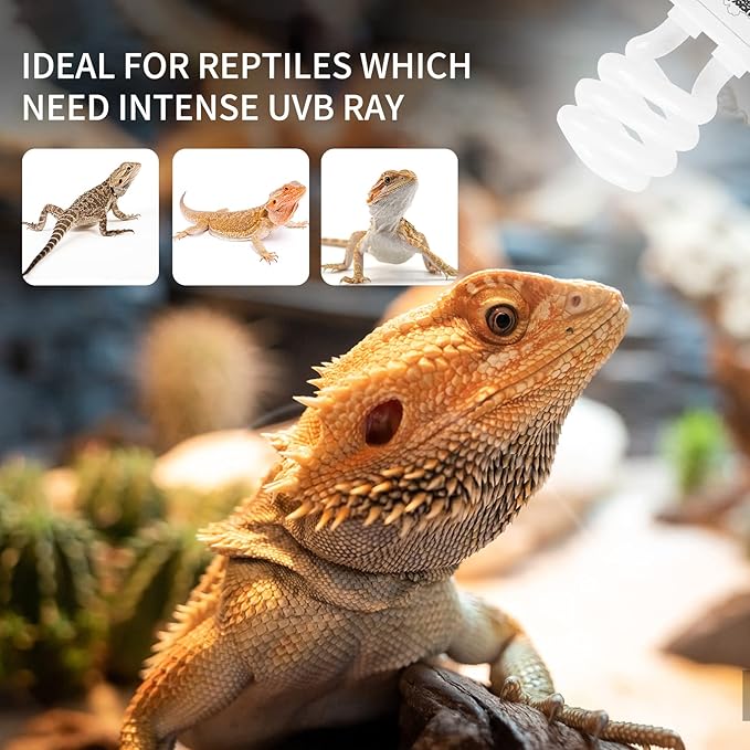 LUCKY HERP 13W UVB 15.0 Intense UVA UVB Compact Flouorescent Lamp Desert Terrarium Light Bulb for Reptile and Amphibian LUCKYHERP