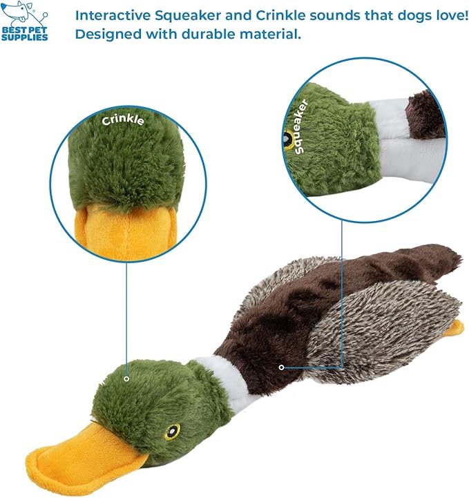 Best Pet Supplies Interactive Mallard Mates Dog Toy with Crinkle and Squeaky Enrichment for Small and Medium Breed Puppies or Dogs, Cute and Plush - Mallard Duck (Brown), Small - PAWPICO