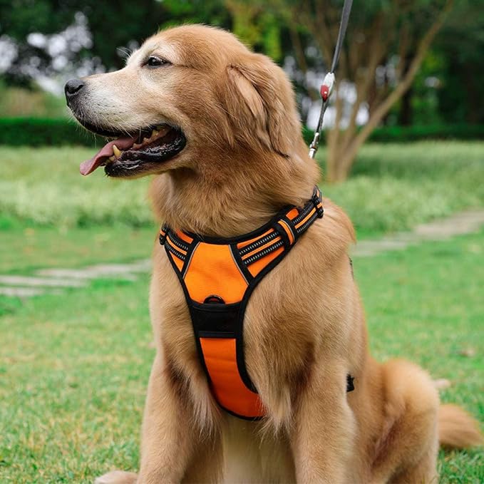 rabbitgoo Dog Harness No Pull with 2 Leash Clips, Adjustable Soft Padded, Reflective Oxford No Choke Pet Vest with Easy Control Handle for Large Dogs,Orange,L rabbitgoo