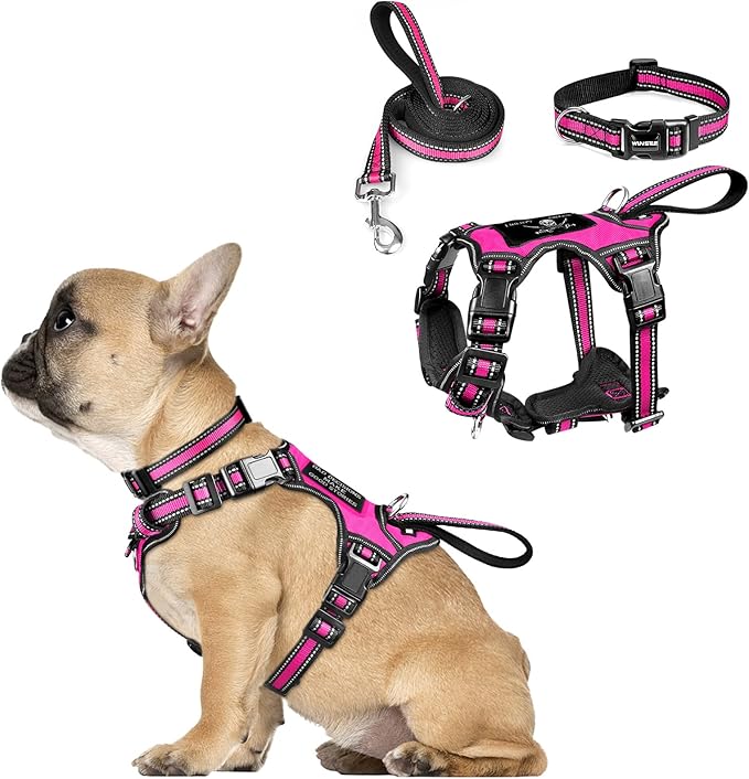 WINSEE Pet Harness Collar and Leash Set, All-in-one Reflective Dog Harness No Pull with Adjustable Buckles for Puppies, Small, Medium, Large, and Extra-Large Dogs (Small, Rosy) WINSEE
