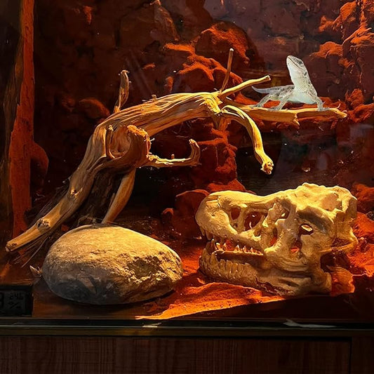 BNOSDM 2PCS Reptile Wood Branches Decor Lizard Habitat Decoration Snake Climbing Branch Accessories Terrarium Tree Trunk Ornament for Bearded Dragon Gecko Frog Chameleon Spider BNOSDM