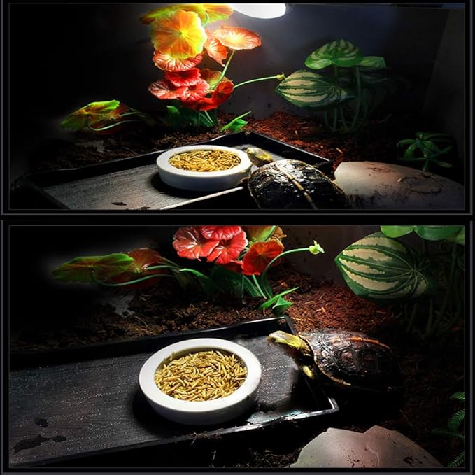 Tfwadmx 2 Pack Reptile Food Bowl, Mini Ceramic Water Feeder Bowl, Reptile Worm Feeding Dish for Lizard Turtle Bearded Dragon Anoles Crested Gecko Hermit Crab Leopard Gecko Chameleon Corn Snake Tfwadmx