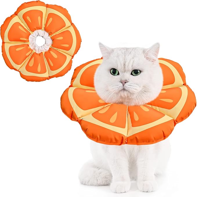 Avont Cat Cone Collar Soft, Adjustable Recovery E Collar Alternative for Cats Kittens Puppies, Elizabethan Neck Cone of Shame to Prevent Licking Biting After Surgery Protect Wounds -Tangerine(M) Avont
