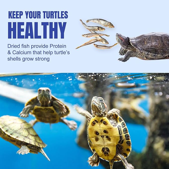 Amzey 3 Pack 0.8Oz (Total 2.4Oz or 68Gram Dried River Fish - Natural Food for Turtles, Terrapins, Reptiles and Large Tropical Fish Amzey