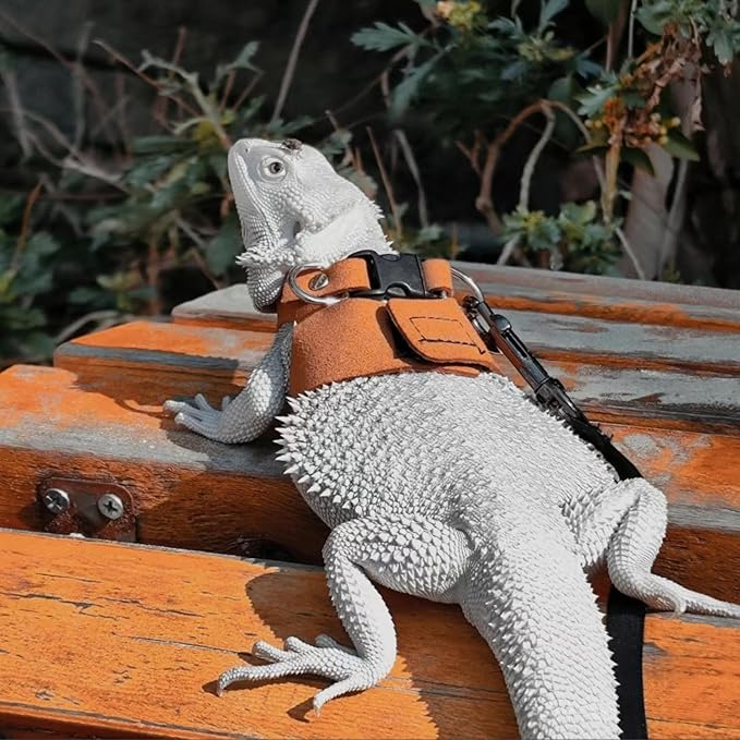 3 Pack Bearded Dragon Harness and Leash Set - Adjustable Soft Leather Lizard Harness with Retractable Leash Small Animal Traction Rope Walking Vest Accessories for Reptile Squirrel Rat (3 Pack) SEZDEKI