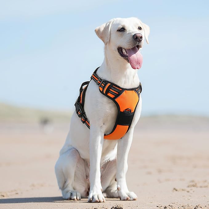 Eagloo Dog Harness for Large Dogs, No Pull Service Vest with Reflective Strips and Control Handle, Adjustable and Comfortable for Easy Walking, No Choke Pet Harness with 2 Metal Rings, Orange, L GoExplorewithEagloo