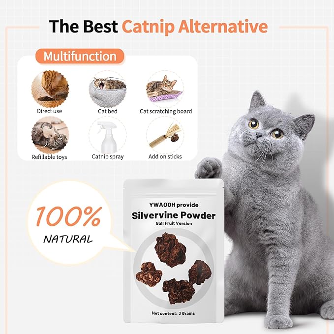 Cat Toys - 3PCS Silvervine Chew Sticks & 1PCS Silvervine Powder, Cat Dental Toys for Kitten Teeth Cleaning, 100% Natural Catnip Alternative for Chewing, Training & Playing - PAWPICO