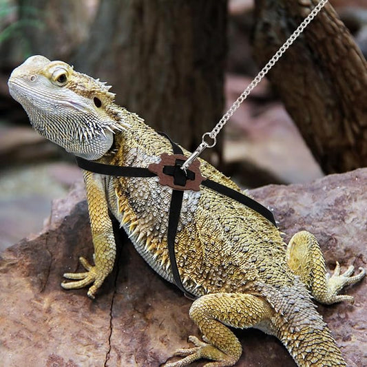 2 Pack Adjustable Reptile Harness and Leash for Lizard Gecko Bearded Dragon Outside Walk (Black) Wontee