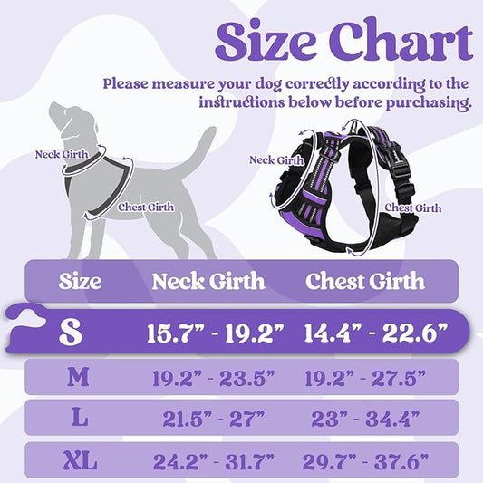 rabbitgoo Dog Harness Small Sized, No Pull Pet Harness with 3 Buckles, Adjustable Soft Padded Pooch Vest with Instant Control Handle, Easy Walking Reflective Pet Vest for Small Dogs, Purple, S rabbitgoo