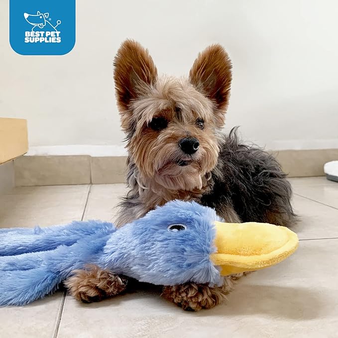 Best Pet Supplies Crinkle Dog Toy for Small, Medium, and Large Breeds, Cute No Stuffing Duck with Soft Squeaker, Fun for Indoor Puppies and Senior Pups, Plush No Mess Chew and Play - White - PAWPICO