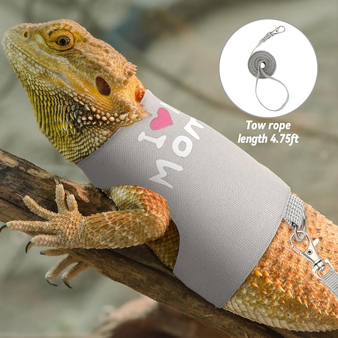 2 Pack Bearded Dragon Harness and Leash Set, Escape Proof Adjustable Lizard Reptiles Harness Cute Lizard Reptile Small Animal Harness Clothes with 5FT Leash for Walking Outdoor PETKNOWS