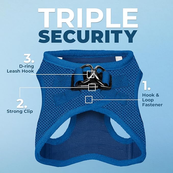 Voyager Step-in Air Dog Harness - All Weather Mesh, Reflective, No Pull Harness for Small, Medium Dogs, Cats - Secure with Hook & Loop Fastener, Buckle, Double D-Rings - Royal Blue, XXS BestPetSuppliesLLC
