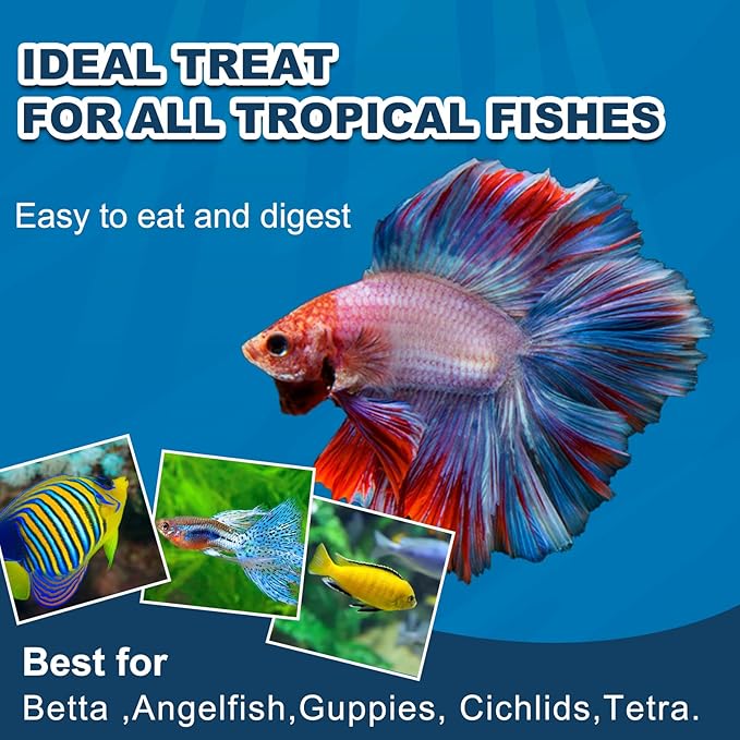 Betta Fish Food Three Effects -Daily Nutritional Supplement Body Increase Color Increase High -Protein Floating Pellets Betta Food (4oz) yizeril