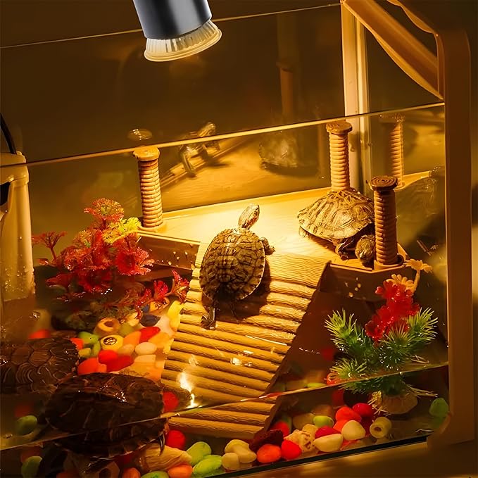 Turtle Basking Light (Cycle Timer), Tortoise Lamp UVA UVB Heat Bulbs -2 Pack 50W, 360°Rotatable Turtle UVA/UVB Basking Heat Light Bulb for Lizard, Beared Dragon REPTIHOME