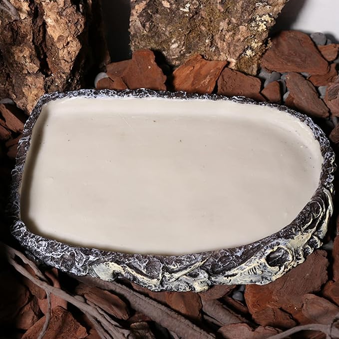 Tfwadmx Reptile Water Bowl Reptile Feeding Dish Reptile Feeder Food and Water Bearded Dragon Food Dish for Turtles, Tortoises, Snakes, Lizards, Geckos, Chameleons Tfwadmx