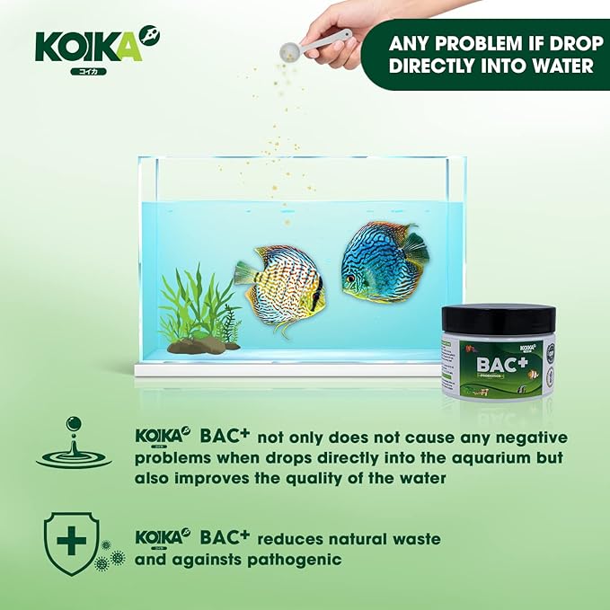 KOIKA BAC+ Powder probiotics, Pleasant Smell, Higher Probiotic, Immunity Boosting, Disease Resistance (BAC+(Powder), 2.82 oz) Koika