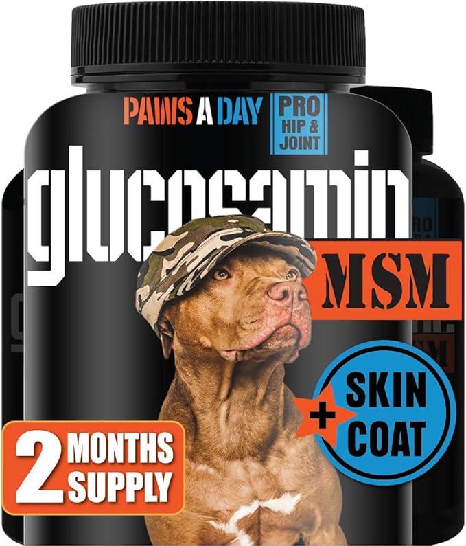 Glucosamine for Dogs Hip & Joint Supplement – “Two-in-One Combo” Dog Joint Care and Improved Skin & Coat with Chondroitin, MSM, Omega 3, Collagen & Biotin, 60 Chewable Tablets PawsADay
