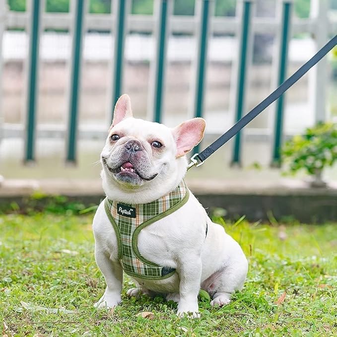 PUPTECK Soft Mesh Dog Harness and Leash Set Pet Puppy Cat Comfort Padded Vest No Pull Harnesses, Olive Green, XS PUPTECK