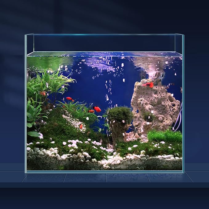 6.5 Gallon Ultra Clear Glass Fish Tank, Rimless Low Iron Aquarium for Betta/Nano/Goldfish/Snail/Shrimp, Fish Tank & Cover Set & Feeding Ring & Cleaning Tools LAQUAL