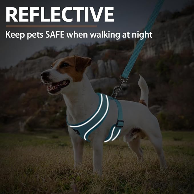 PUPTECK Soft Mesh Dog Harness and Leash Set Pet Puppy Cat Comfort Padded Vest No Pull Harnesses, Solid LightBlue, M PUPTECK