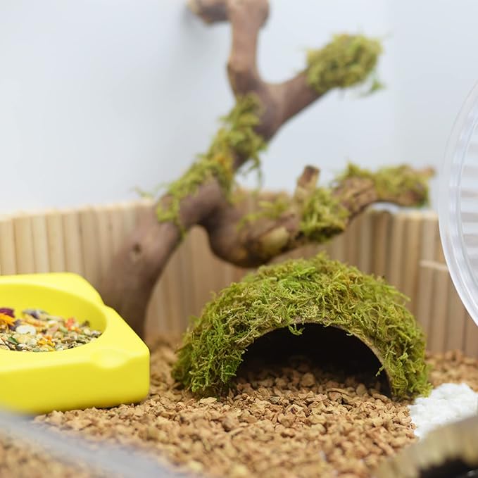 Hamster Hideaway,Hamster Hideout,Mossy Cave Hide,Hamster House/Hides,Hamster Cage Accessories for Gguinea Pig/Hedgehogs/Gliders/Rats/Mice and Other Small Animals (Small) SanmooAio
