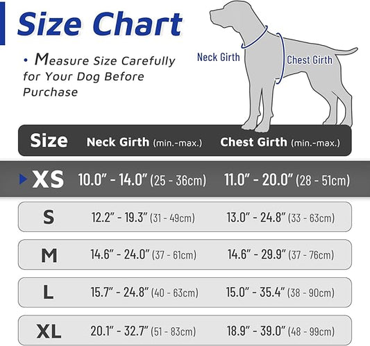 Eagloo Dog Harness for Large Dogs, No Pull Service Vest with Reflective Strips and Control Handle, Adjustable and Comfortable for Easy Walking, No Choke Harness with 2 Metal Rings, Blue & Orange, XS GoExplorewithEagloo