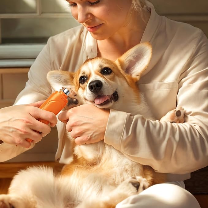 YABIFE Dog Nail Grinder, Dog Nail Trimmers and Clippers Kit, Super Quiet, Rechargeable, for Small Large Dogs Cats Toenail Claw Grooming,3 Speeds, 1 Extra Grinding Wheel - PAWPICO