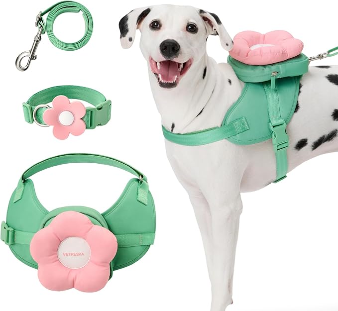 VETRESKA Flora Dog Harness, Leash and Collar Set, No Pull Dog Vest Harness for Walking and Training, Adjustable, Easy Control and Soft Padded Pet Harness and Backpack for Small Medium Large Dogs, M VETRESKA
