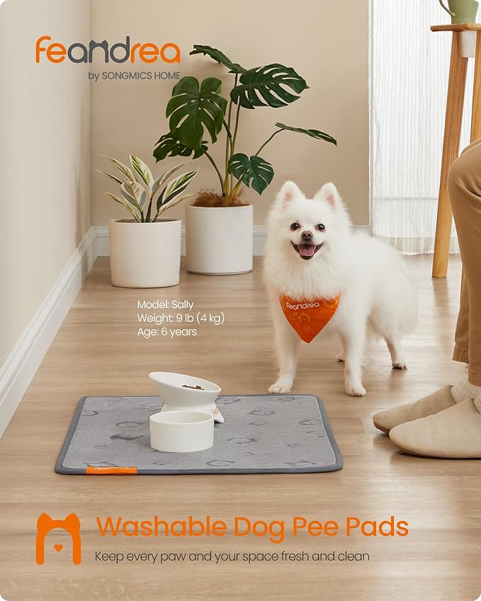 Feandrea Washable Pee Pads for Dogs, 2 Pack, Reusable Dog Pads, 24 x 18 Inches, S, Waterproof Pet Training Pads, Leakproof, Non-Slip, Super Absorbent, for Dogs, Cats, Rabbits, Dove Gray UPTD001G01 - PAWPICO