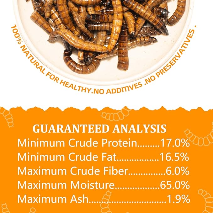 6 Pack Canned Superworms for Reptiles, Fish, Birds and Small Animals, Super Worms, Healthy High Protein Treat, Reptile Bird Fish Food 7.2 Ounces Total Jadingfarm