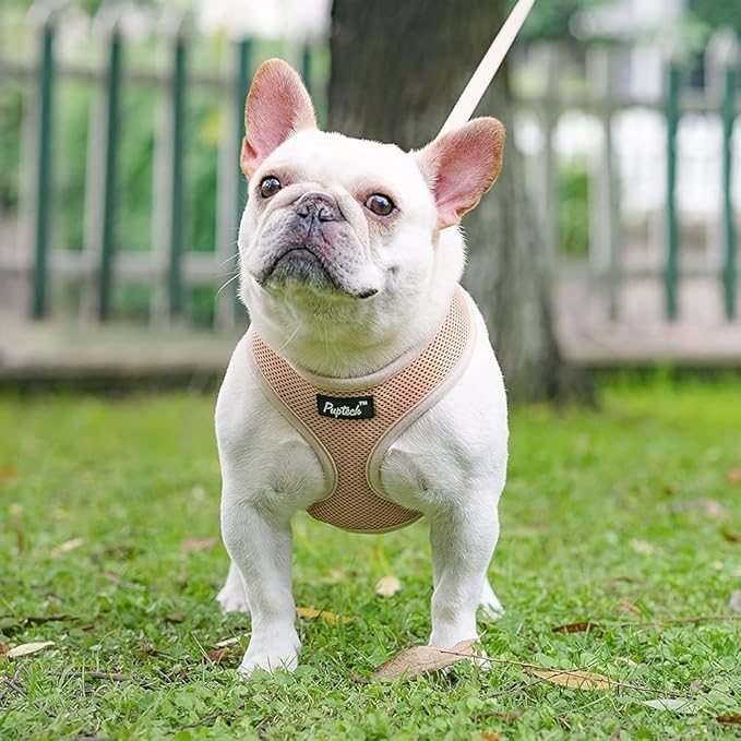 PUPTECK Soft Mesh Dog Harness and Leash Set Pet Puppy Cat Comfort Padded Vest No Pull Harnesses, Solid Beige, L PUPTECK
