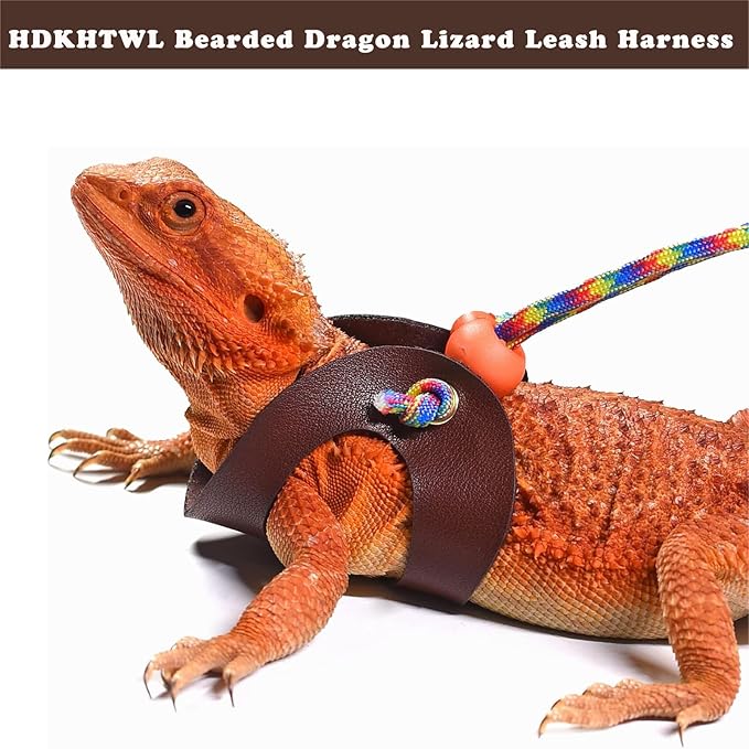 Bearded Dragon Lizard Leash Harness,3 Size Pack Adjustable Small Animal Harness for Bearded Dragon Lizard Reptiles and Other Small pet HDKHTWL