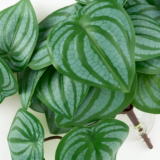 Reptile Plants for Terrarium, Amphibian Habitat Decor Artificial Hanging Plants with Suction Cup - Fake Calathea Orbifolia WOLEDOE