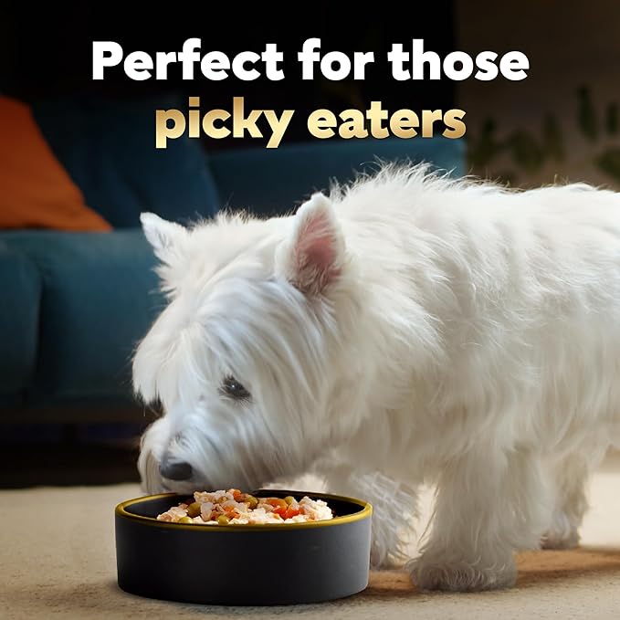 CESAR SIMPLY CRAFTED Adult Wet Dog Food Meal Topper, Chicken, Sweet Potato, Apple, Barley & Spinach, 1.3oz., Pack of 10 - PAWPICO