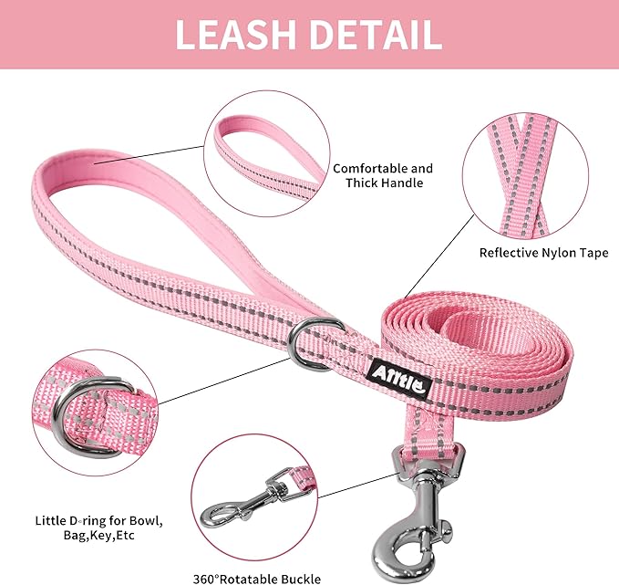 AIITLE Easy Walk Dog Harness and Leash Set - Pet Supply No Pull, Step in Adjustable Dog Harness with Padded Vest for Spring, Dog Harness No Choke Over, Easy to Put on Medium Dogs Pink L AIITLE-FORPETSBETTERLIFE