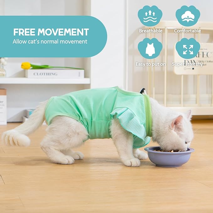 Avont Cat Recovery Suit - Post-Surgery Onesie for Cats, Alternative to Cone of Shame, Protective Spay Suit for Female Kitten, Ideal for Healing and Skin Conditions -Mintgreen(L) Avont