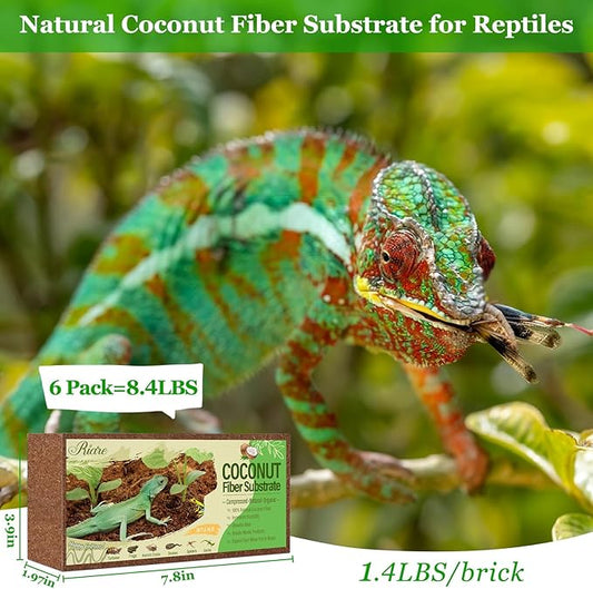 Riare 6 Pack Natural Coconut Fiber Substrate for Reptile- Premium Compressed Coconut Husk Terrarium Bedding for Reptile, Tortoise, Frogs, Snakes Hermit Crabs, Burrowing Animals Riare