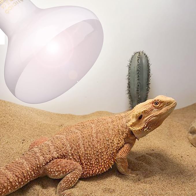 Aiicioo Reptile Basking Light Bulb - 75W Reptile Heat Lamp 2 Pack UVA Daylight Amphibians Basking Bulb for Bearded Dragon Turtle Hermit Crab Gecko Lizard Daylight AIICIOO
