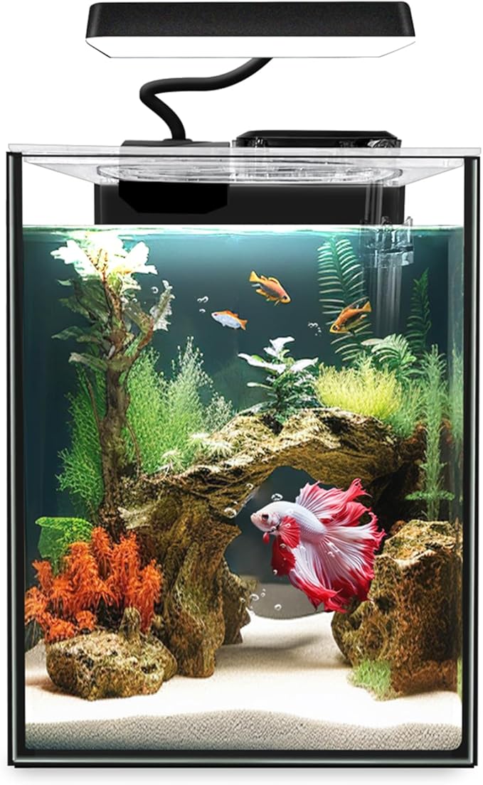 Glass Betta Aquarium Starter Kits 1.5 Gallon Small Fish Tank, Betta Fish Tank with LED Light, Power Filter, Black. 4mm Glass iPriro