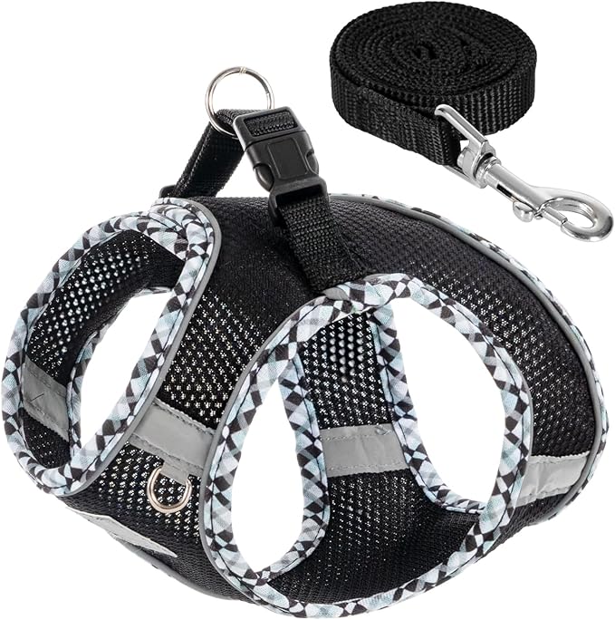Dog Harness and Leash Set, No Pull Pet Harness for Small Dogs Easy Walking,Soft Breathable Small Dog Harness,Adjustable Reflective Step in Vest Harness for Puppy,Kitten, Cats TomteNisse