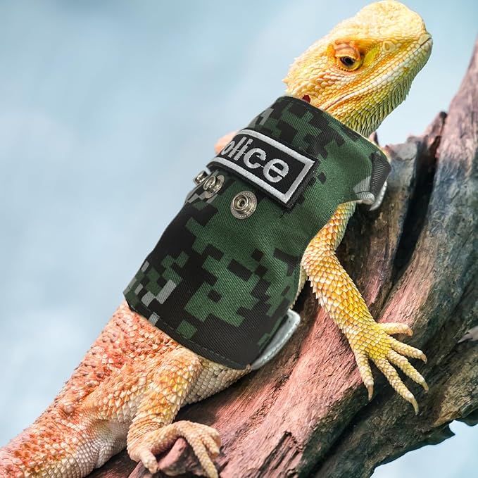 Bearded Dragon Harness and Leash Set - Adjustable Lizard Harness with Replaceable Patch Outdoor Traction Rope Walking Training Leash Reptile Halloween Costume Accessories for Small Pets (Green) SEZDEKI