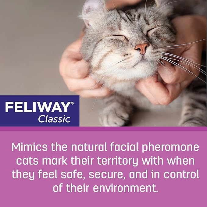 FELIWAY Classic Cat Calming Pheromone, 30 Day Refill - 6 Pack Feliway%C2%AE